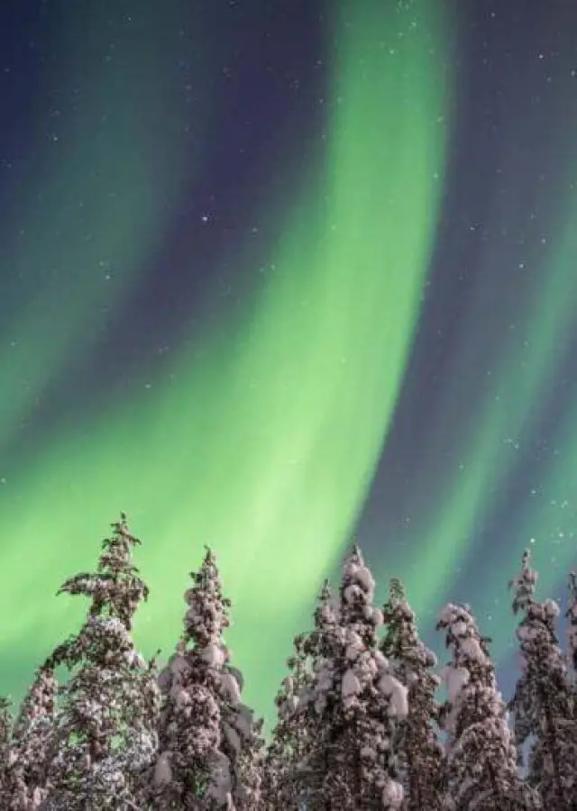 KUZEY IŞIKLARI ALTINDA LAPLAND
